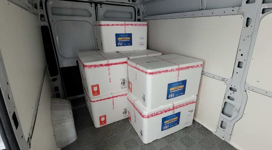 Jaraguá do Sul recebe novas doses da vacina contra a Influenza - Diário da Jaraguá