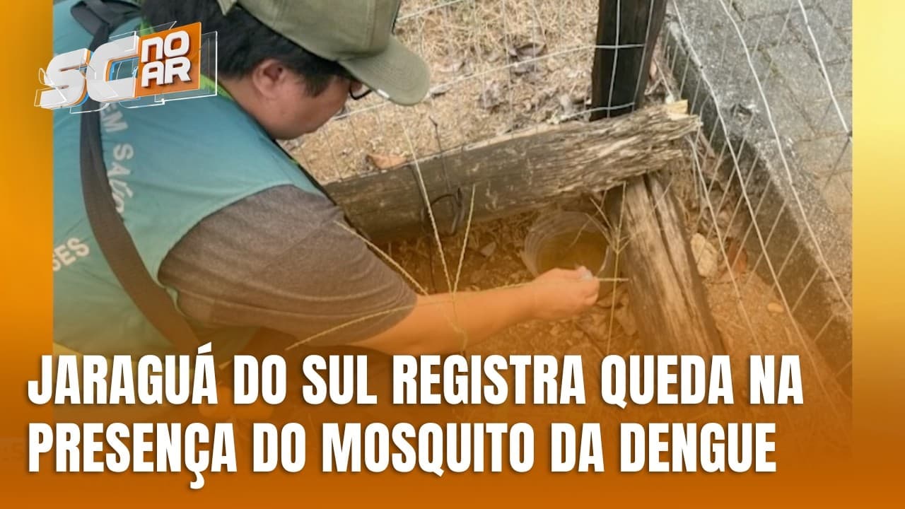 Jaraguá do Sul comemora queda expressiva nos índices do mosquito da dengue